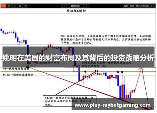 姚明在美国的财富布局及其背后的投资战略分析